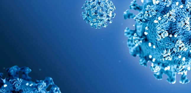 image of the Coronavirus Covid-19 Sars Cov-2 virus